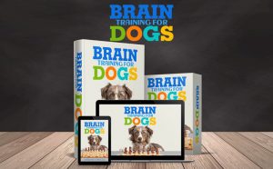 Brain Training Dogs Course