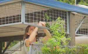 Carport Makeover